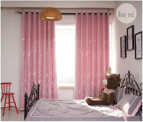 AMAXRcsy Vorhang Verdunkelungsvorhang, Doppelschicht/Verdickung, Spitze/bestickter Vorhang, Schlafzimmer Wärmeisoliervorhang, für Wohnzimmer/Hotel, 1 Stück,A w400*h270cm (A w400*h270cm)